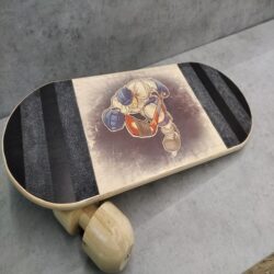 Balance Board Š01