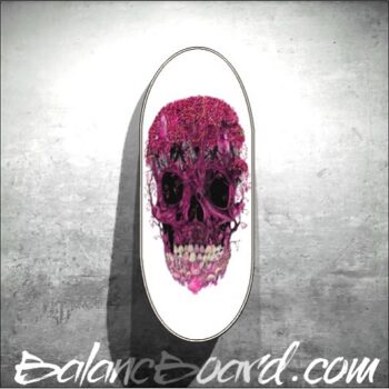 Balance Board S02
