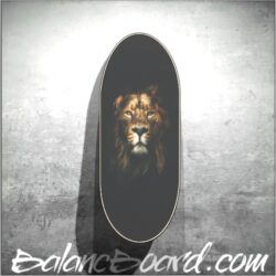 Balance Board Z01