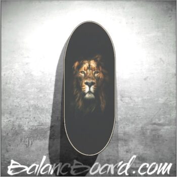 Balance Board Z01