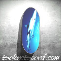 Balance Board Z02