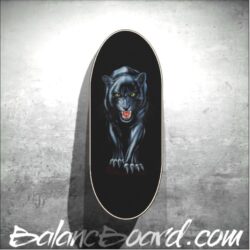 Balance Board Z03