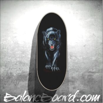 Balance Board Z03