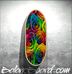 Balance Board F01